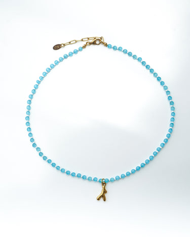 Blue Coral - One of One